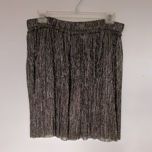 Isabel Marant - Pewter Metallic Pleated Skirt